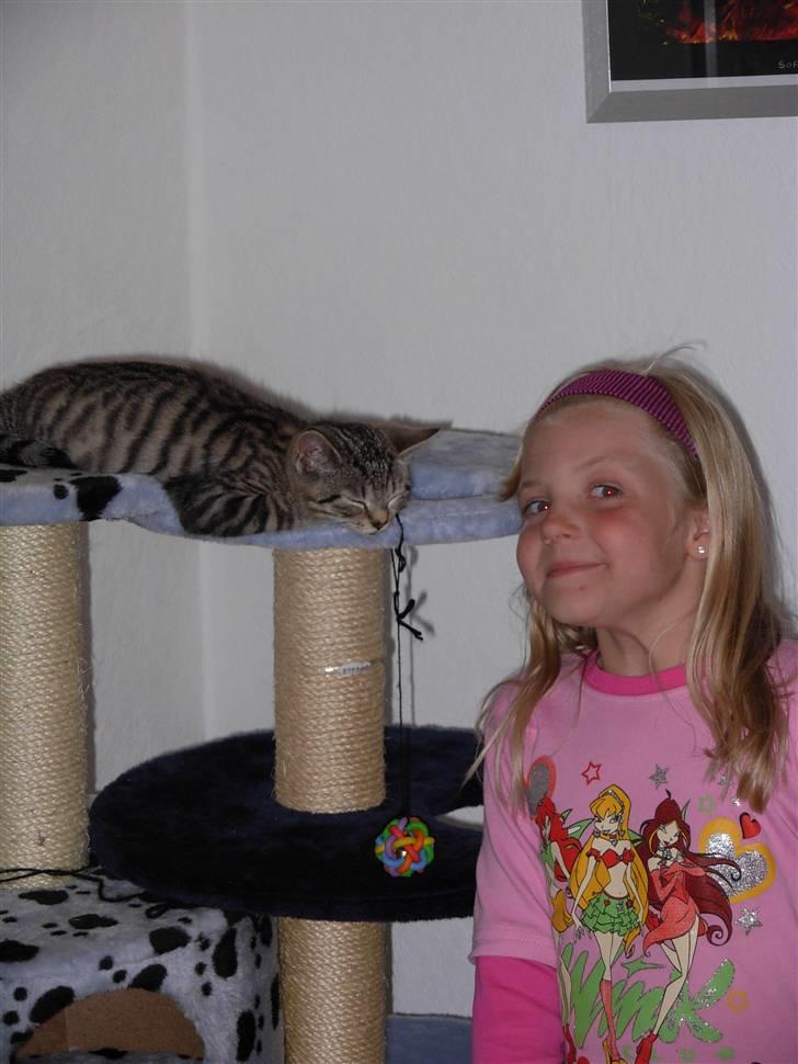 Huskat sofus billede 13