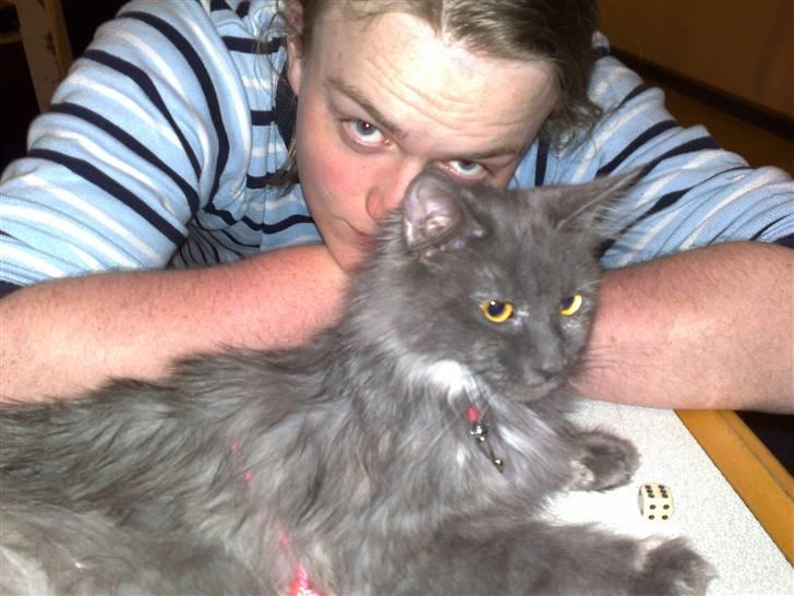 Maine Coon Mille - Mille og min kæreste på færgen. Hun elsker at komme med der, for man får så meget opmærksomhed fra alle de mennesker. Hun nyder det! billede 15