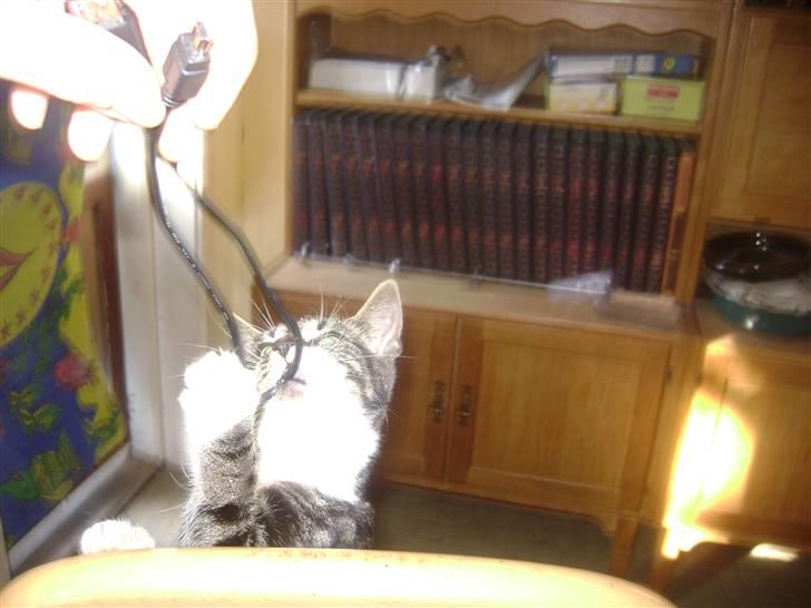 Huskat ingen i nu SOLGT billede 10