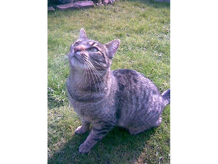 {{currentPhoto.altText}} billede {{currentPhoto.number}}