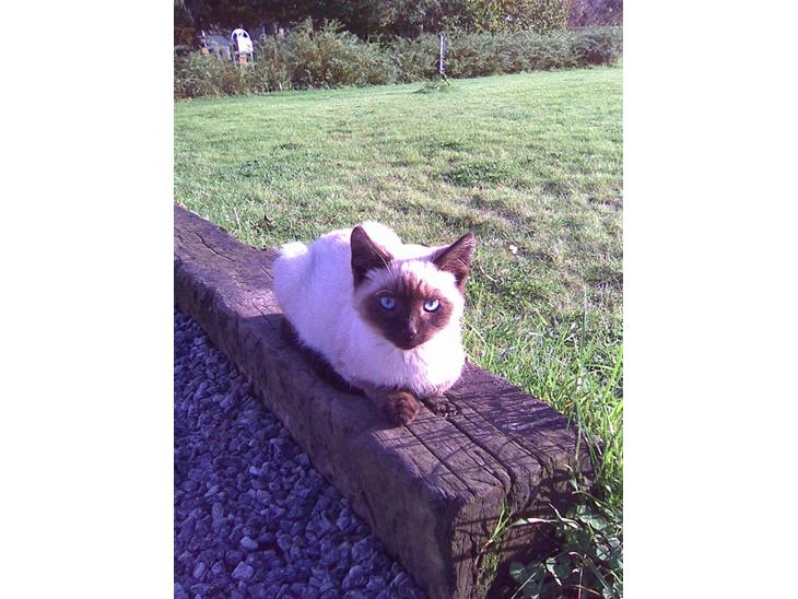 {{currentPhoto.altText}} billede {{currentPhoto.number}}