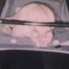 Blanding af racer Felix *DØD*