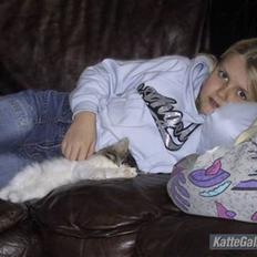 Blanding af racer Hugo