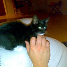 Blanding af racer Tiller 