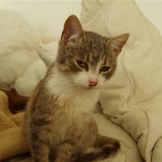 Huskat Jensen † R.I.P. †