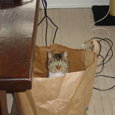 Blanding af racer Babis