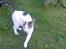 Huskat Basse <3 † R.I.P. †