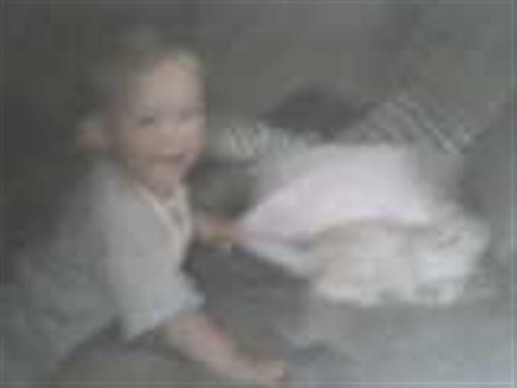 Blanding af racer Felix *DØD* billede 4