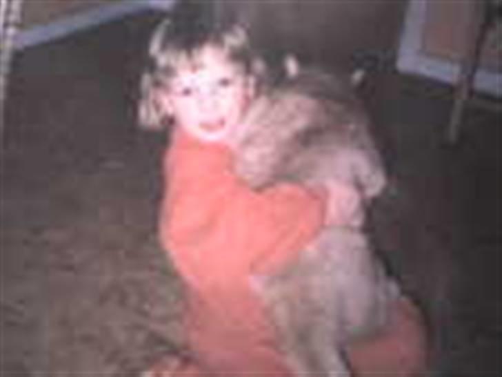 Blanding af racer Felix *DØD* billede 8