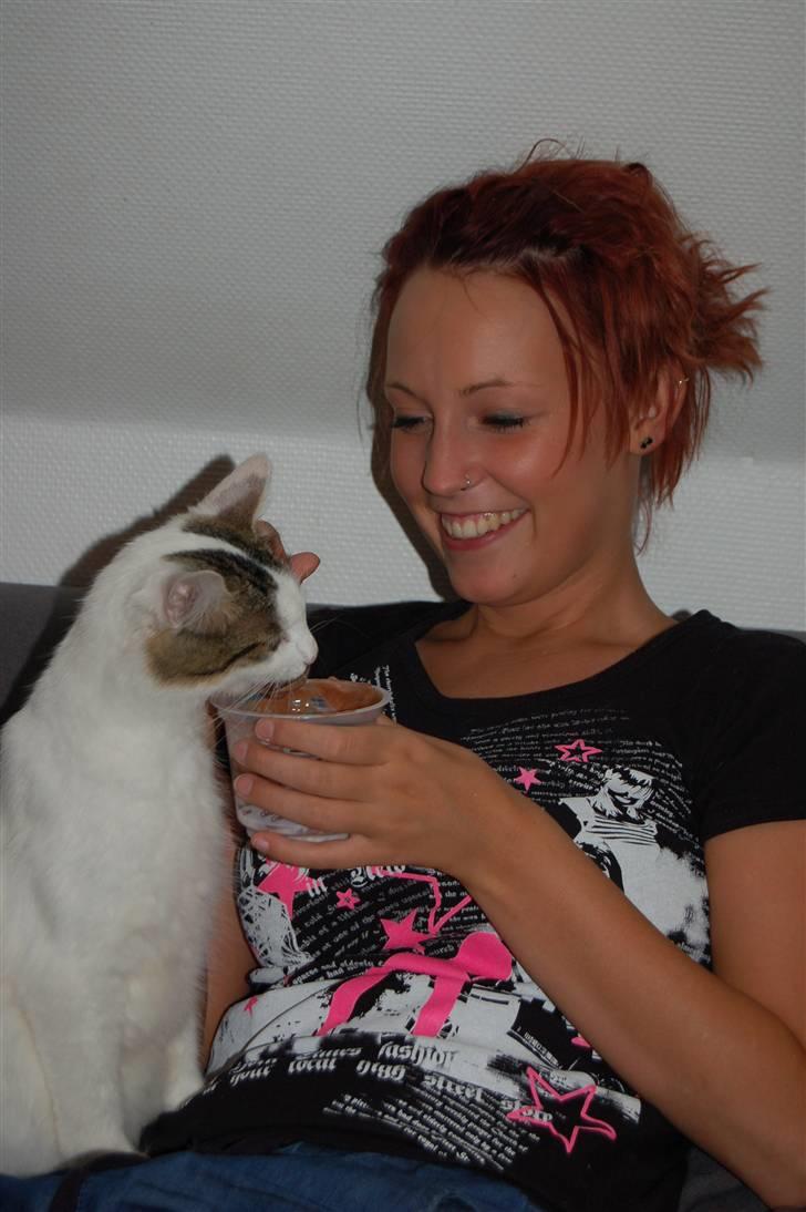 Blanding af racer Faith billede 5