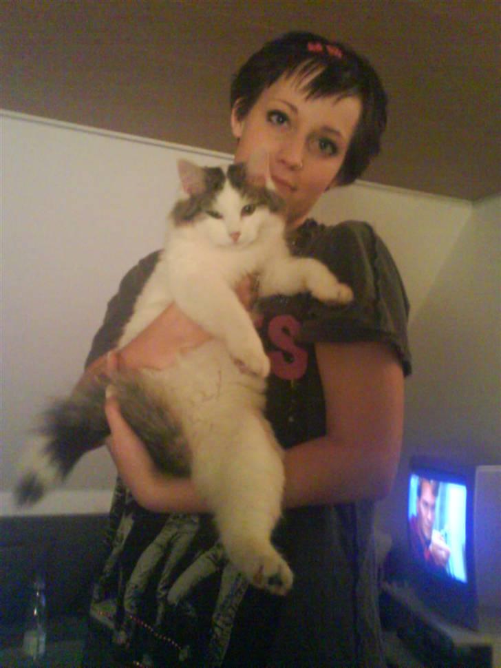 Blanding af racer Faith billede 8