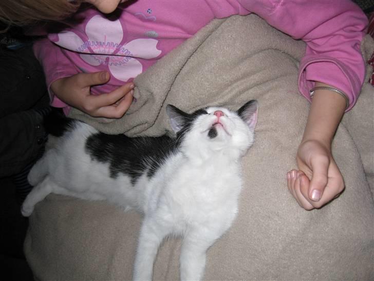 Huskat Rita - Det er hårdt at flytte hjemmefra :-D billede 4