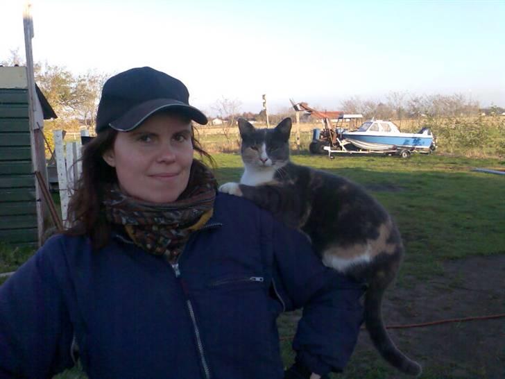 Huskat Mille billede 6