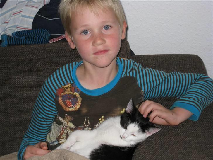 Huskat Rita billede 7