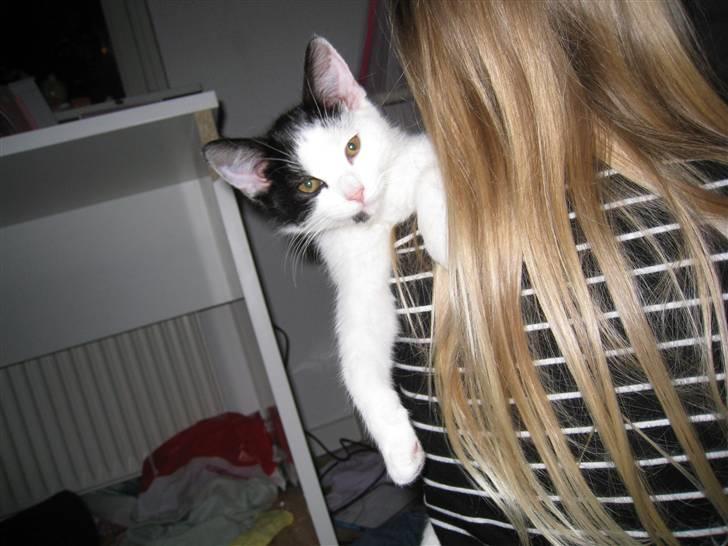 Huskat Rita billede 8