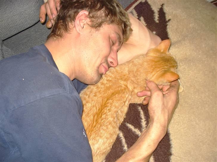 Huskat Simon billede 3