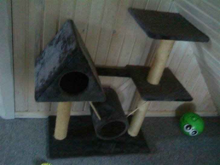 Huskat Stumpfrie - Hendes kradsebræt billede 18