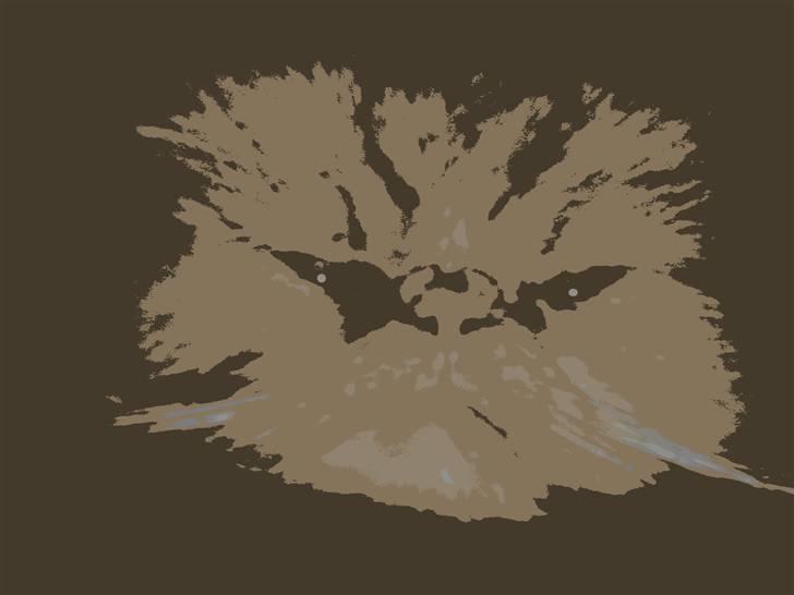 Perser AA    (Dior) billede 18