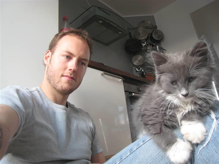 Blanding af racer Sixten billede 2