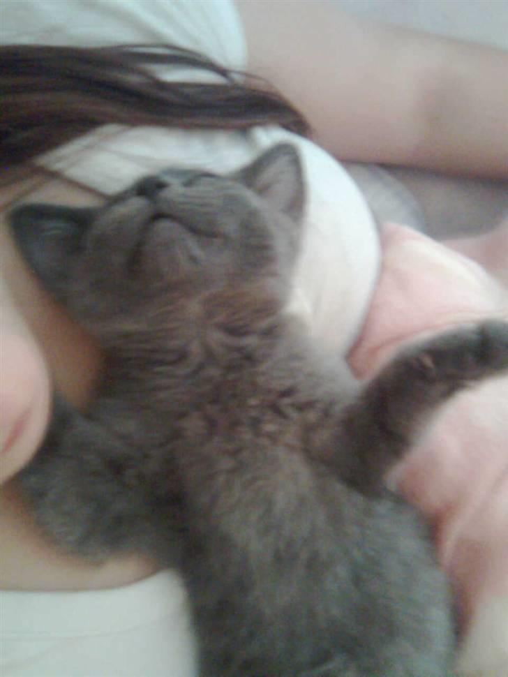 Huskat Baby R.I.P billede 2