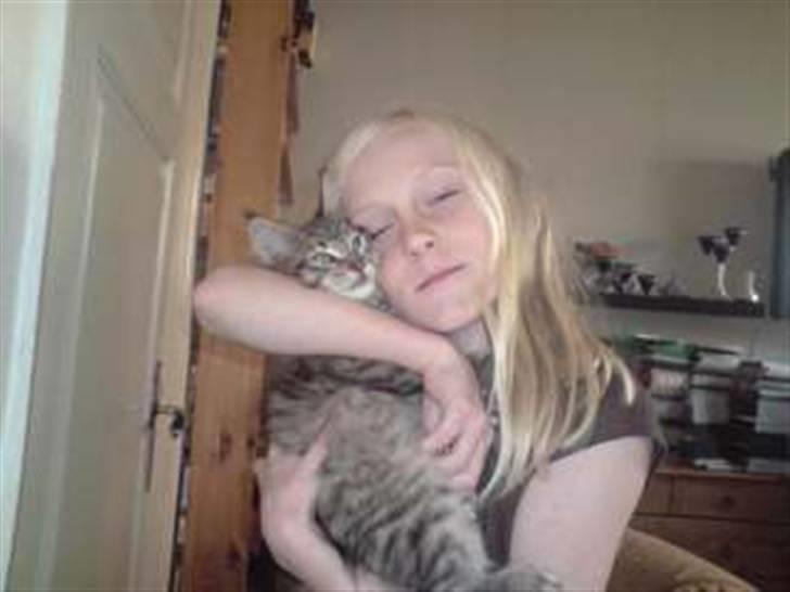 Maine Coon DK Skovlycoon Cassius R.I.P. - min datter og cassius nusser billede 13