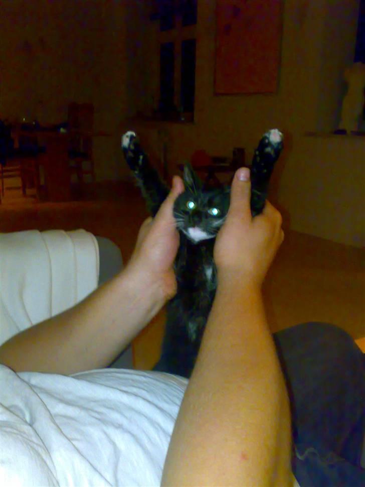 Blanding af racer Tiller  - Jeg giver op?!  billede 7