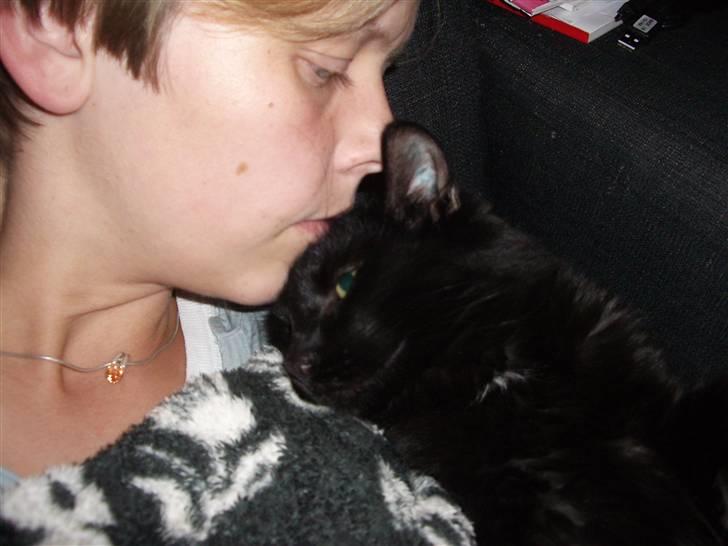 Blanding af racer Balou - sådan nogle øjeblikke er super dejlige at have på billede.... billede 15