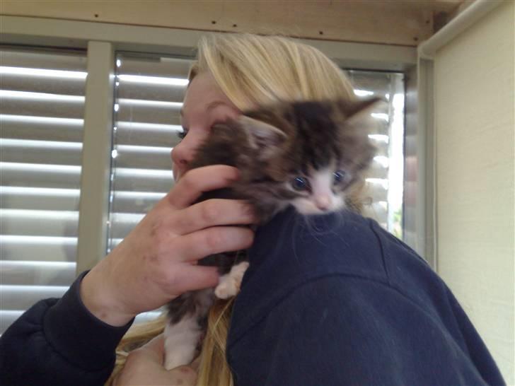 Blanding af racer Mitte - Som sagt - Kravlenisse ! (: billede 5