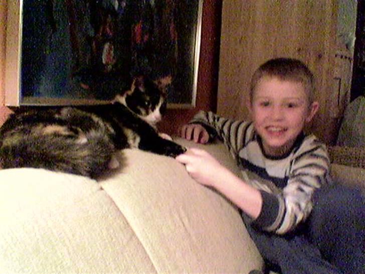 Huskat Perle - Perle og min lille bror. billede 8