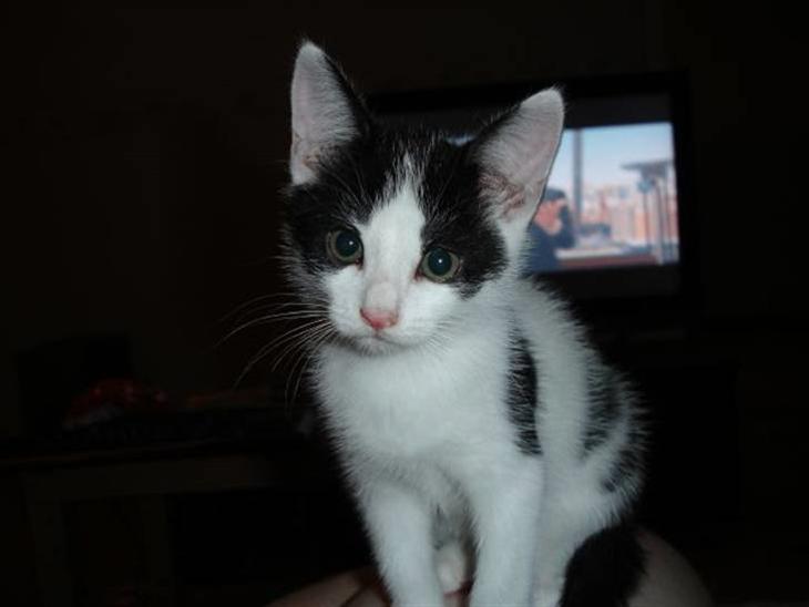 {{currentPhoto.altText}} billede {{currentPhoto.number}}