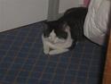 Huskat mister mtalthe <33