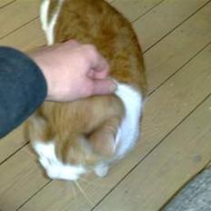 Huskat Carla død :(