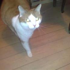 Huskat Carla død :(