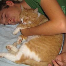 Blanding af racer Garfield