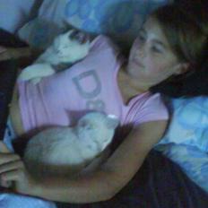 Blanding af racer Snefnug