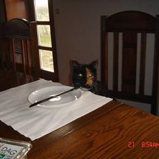 Huskat Mille (død 2006)