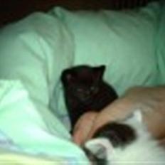 Blanding af racer Buster <3