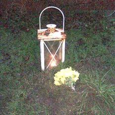 Huskat Sophus Snip (DØD)