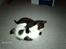 Blanding af racer Buster <3