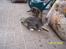 Huskat Pylle.. R.I.P.