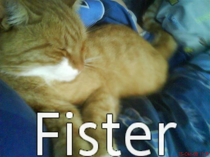 Huskat fister billede 19