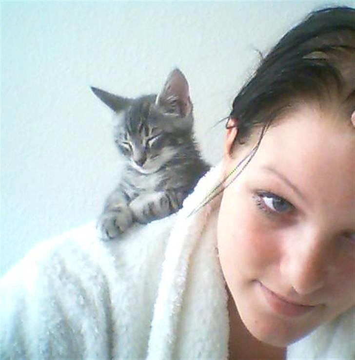 Blanding af racer Pjuske - Min lille papegøje ;O) billede 20