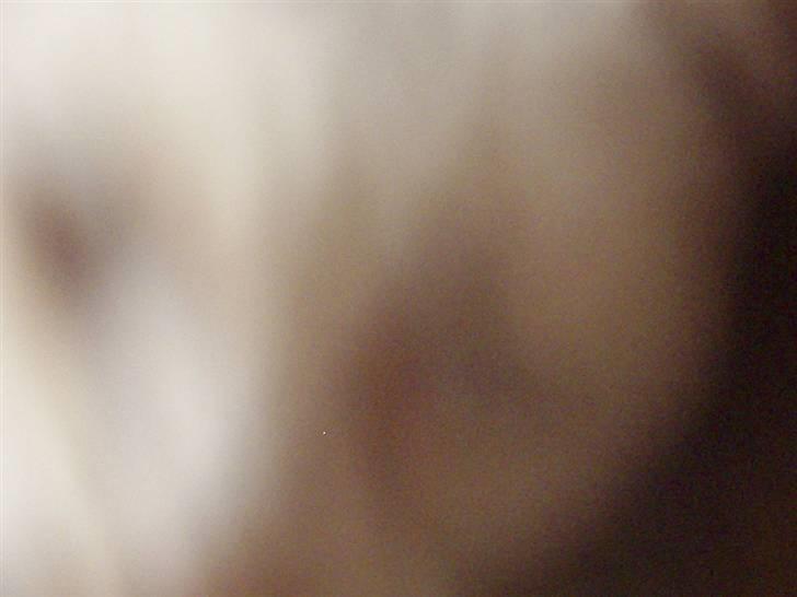 Blanding af racer Sebastian billede 12