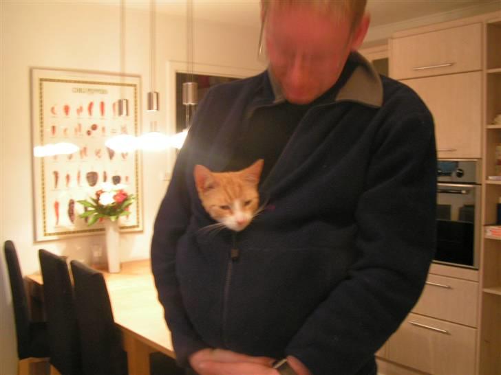 Huskat Karl - Vi leger dåseput far, sig ikke til Ludwig hvor jeg er billede 9