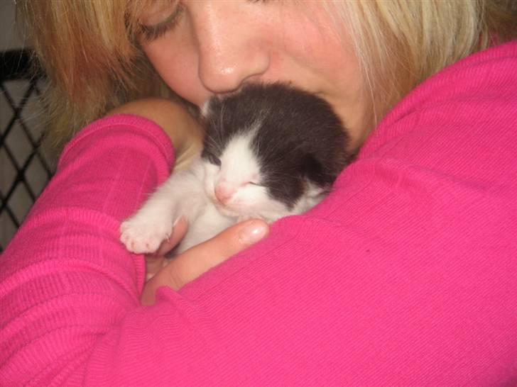 Blanding af racer Prikken *død* - Prikken som nyfødt billede 11