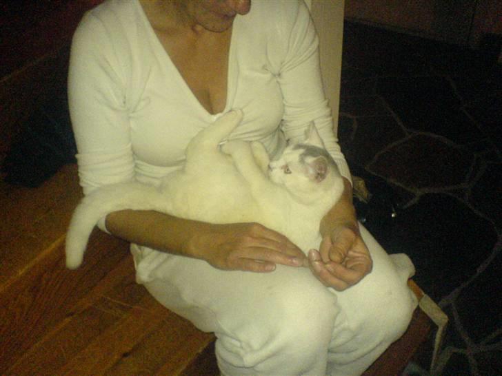 Huskat Gerda billede 2