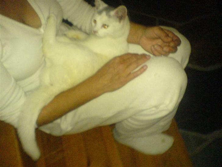 Huskat Gerda billede 3