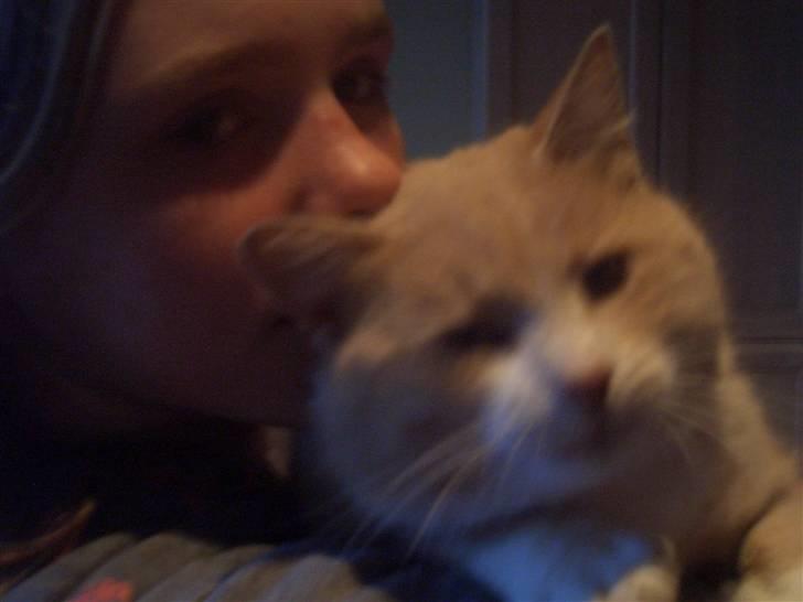 Blanding af racer Pjusce - I love you<33  Un´dskyld billed kvalitet! billede 9