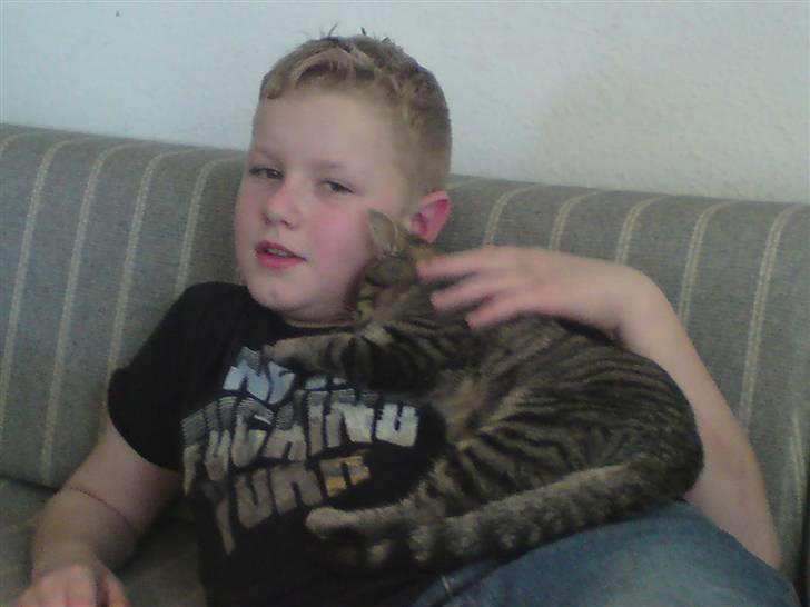 Huskat mille - hygge hygge billede 7