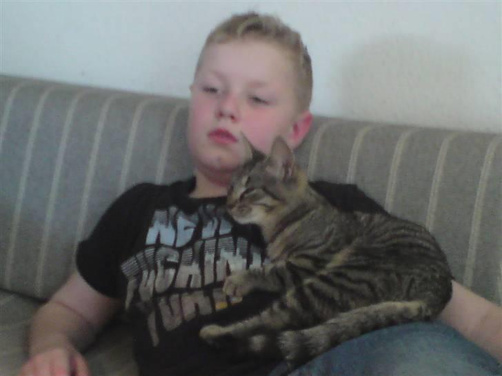 Huskat mille - jeg hygger mig billede 8